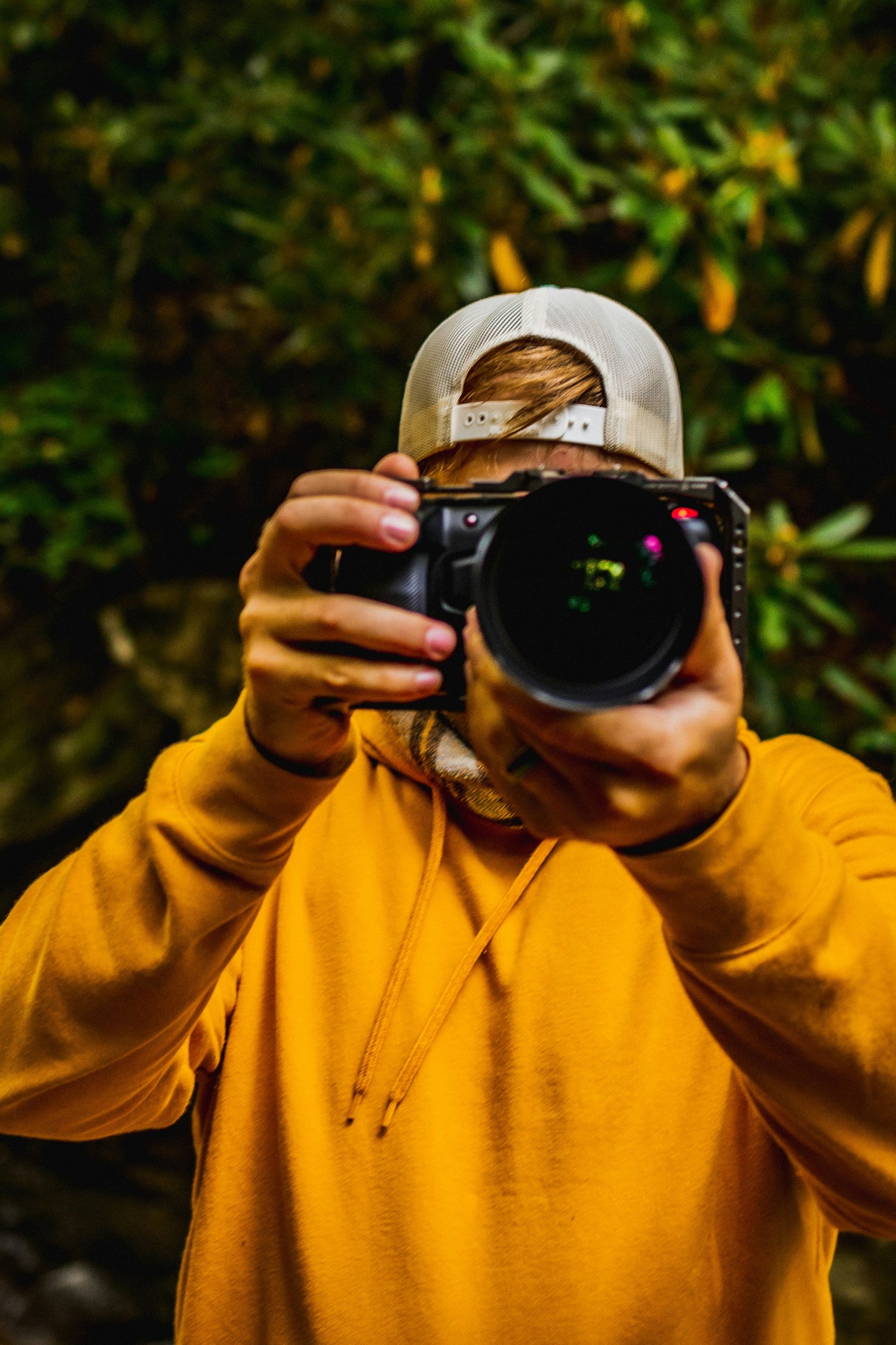 Content Creation
